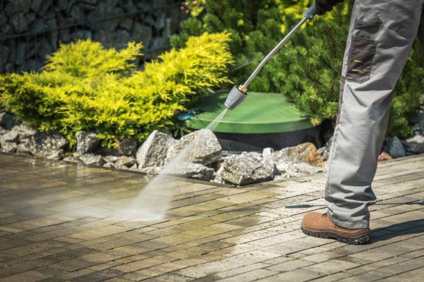 Best Driveway Pressure Washing  in Mays Landing, NJ